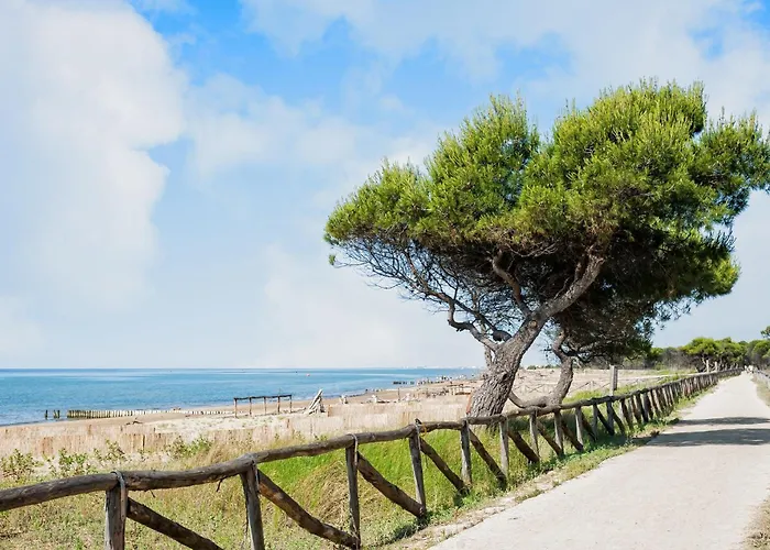 Bright Flat In A With Shared Pool Apartment Bibione